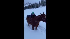 Adorable 2years old and her cat riding a horse!
