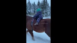 Adrable 2 years old rides a horse with her cat in the snowy fairytale!