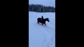 Little 2 years old rides through the snow with her cat!
