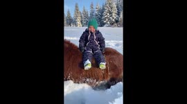 Sweet 2years old slides on her little pony into the snow!