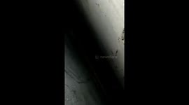 Kitten Falls Between Houses in East Jakarta, Indonesia