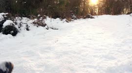 Walking In The Snow Perth