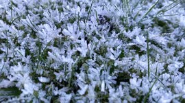 Beautiful Ice Crystals On Grass In Scotland