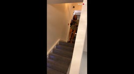 Girl Falls Hilariously While Leaving The Apartment After Night Out