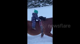 Watch this adorable 2-year-old go on a horse ride with her cat!