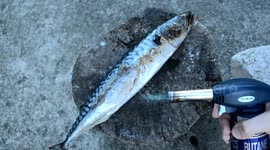 Gas Torch Vs Toys & Fish | Experiment