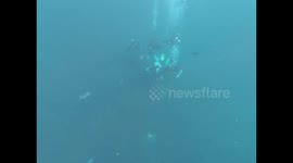 recorded a splendid day of diving with my friends on the island of Bali