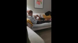 Basset hound asking for attention won't take no for answer