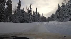 Watch as Reindeer force motorist to stop on snow covered road near the Arctic circle