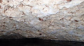 This tiny underwater cave in Florida is the stuff of nightmares