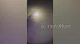 Dolphin rescue: Residents battle to save 25 injured dolphins washed ashore after 'dynamite fishing' in Philippines