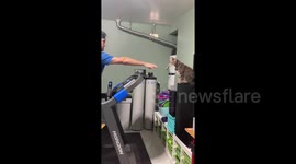'I don’t want to let him down!' Watch this cat high-five its owner to motivate him on treadmill