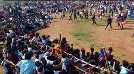 Stampeding bull climbs above barricade and charges into audience at taming event in southern India