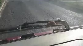 Mum gets shock after MOUSE runs up and down her windscreen wipers
