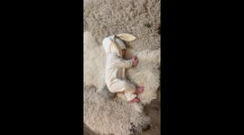This video of a baby sleeping in a bunny costume will make you go aww