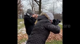 Rare sighting of snowy owl at Central Park delights New York denizens