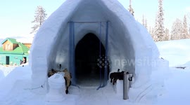 Asia’s largest igloo cafe opens in India