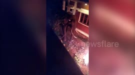 Man sets elephant on fire after it entered human habitation in Southern India's Tamil Nadu