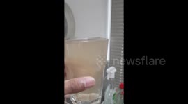 Thousands report dirty tap water across south London