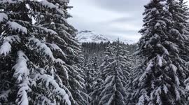 Snowy French Alpes. Beautiful nature.
