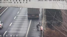 Chinese driver fined after reversing on highway to pick up pig that dropped off truck