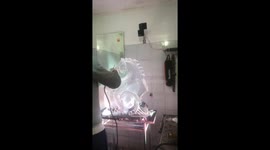 Vietnamese man carves beautiful seahorse out of ice cube