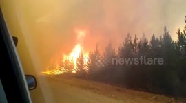 Patagonia forest fires remain out of control in Argentina