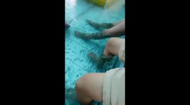 Moments Thousands of fish massage the tourists' feet. Do you dare to try?