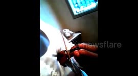 BALTAZAR MÓNACA UTILIIZANDO SU VIOLIN QUE ES EL MAS PEQUEÑO DEL MUNDO INTERPRETA UNA PIEZA MAGISTRAL DE NICCOLO PAGANINI, CONCIERTO 3 PARA VIOLIN Y ORQUESTA.