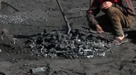 Adapting to shortage, Gazans turn wood into charcoal