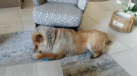 Amber battle with the bottle of water