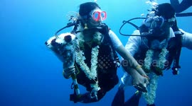 Indian couple ties the knot in unique underwater wedding ceremony