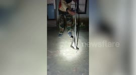 Forest officials rescue giant black cobra from residence in northern India