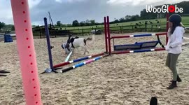 Shetland pony leaves rider in a heap as they crash into fence jump