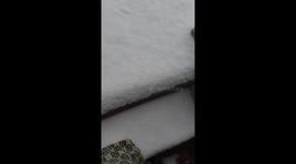 I love it when it snowz