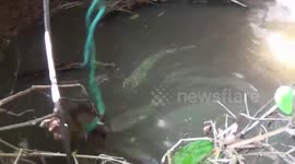 Deer rescued after falling into abandoned well