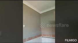 A house painted by my company Touch2Change Painting and Projects.