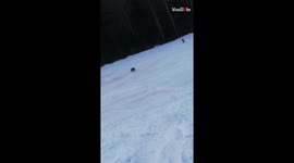 Skier's lucky escape after being chased down slope by bear in Romania