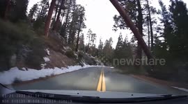 Couple escape death after '200-foot' tree crushes car in California's Sequoia National Forest