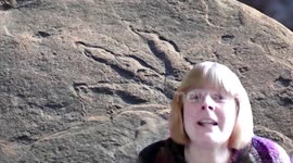 Cindy Howells, a paleontology curator at Amgueddfa Cymru - National Museum of Wales, speaks about 220 million-year-old dinosaur footprint found on Welsh beach