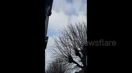 Police respond in London after molotov cocktail reported thrown near synagogue