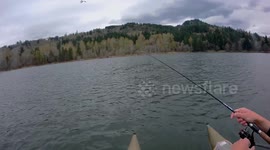 Seattle area fisherman stunned as osprey STEALS his catch off the line