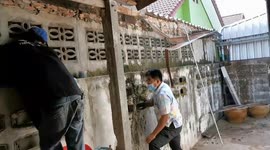Wild monitor lizard rescued after getting stuck in tiny gap behind wall