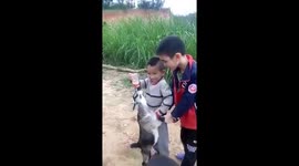 The kids enjoyed feeding the baby goat a baby's bottle