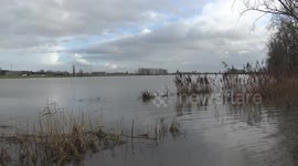flooding sometimes creates funny images