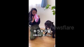 Dog sings along to 'Twinkle, Twinkle, Little Star' with owner