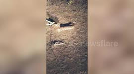 Forest officials rescue 8-feet-long python from school premises in central India