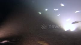Manta Ray Night Dive Kona, Hawaii