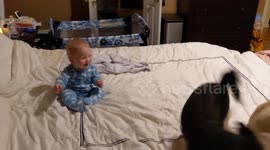 Baby Cracks Up Watching Dogs Do Tricks