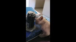 Max Taste No Sugar